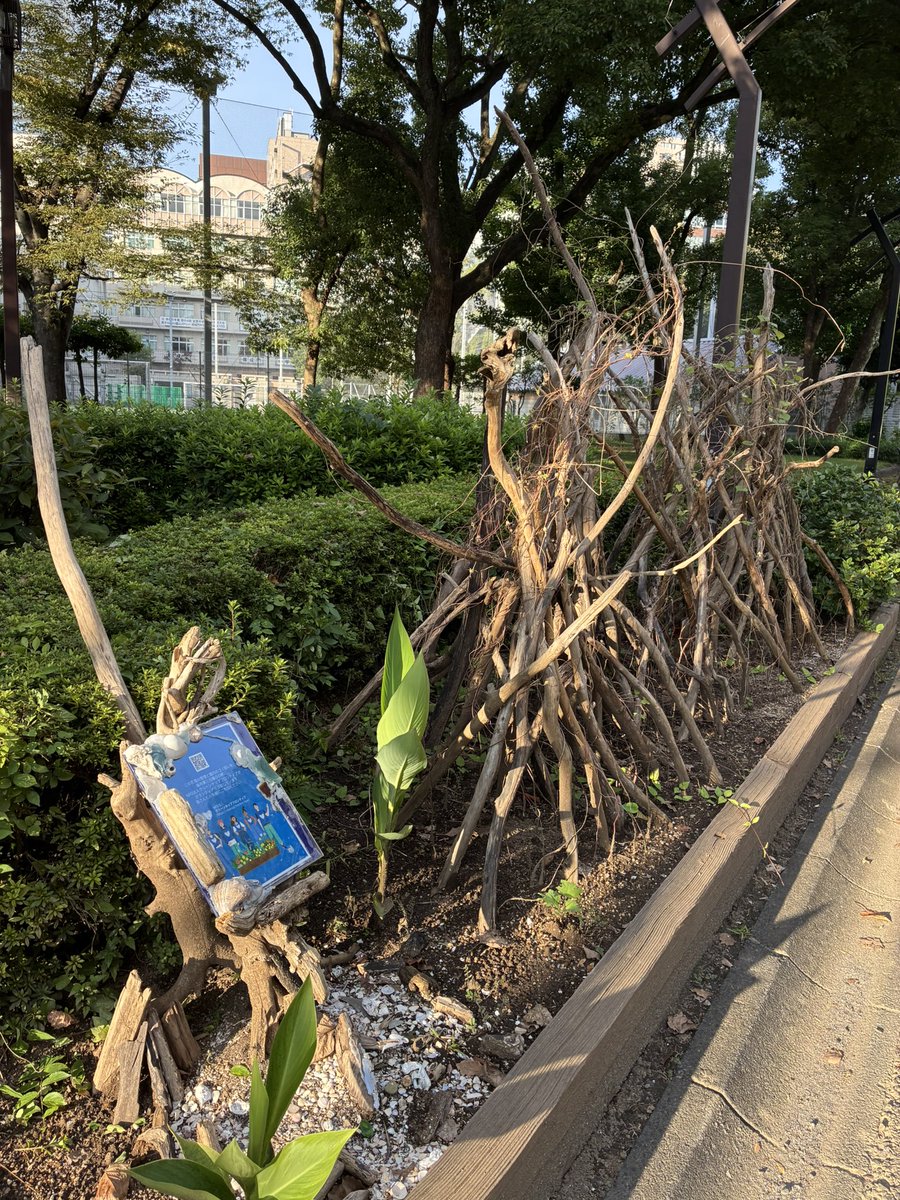 CleanupFrontier's tweet photo. Green project
芝公園4号地のひまわり花壇を整えてきました
イベントの後、花壇に行く事が出来ずにいましたが
今日の午後にひまわり花壇を撤収してきました
その後スコップで土を掘り起こして整えてきました
朝顔は次回です
18日日9時から花植えを植えていきます
お近くの方は是非ご参加下さい https://t.co/PaQlOX9U6i