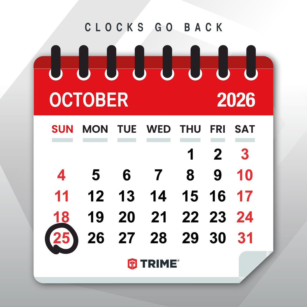TrimeUK's tweet photo. 💡19 Sleeps to go!💡

The countdown is on, and Trime UK HQ is buzzing with activity! 

Are you ready? ▶️ https://t.co/qzdMchJdbb

#ClocksGoingBack #LightingTowers #TheMostWonderfulTimeOfYear #SafeSites #HereWeGo #WorkWithTheBest #AwardWinners #TeamTrime https://t.co/4znMn1zWNA