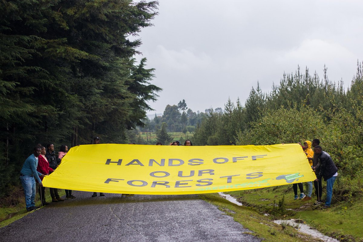 gp_kenyagroup's tweet photo. An elephant nursery is not a construction site @DeboraBarasa! Upper Imenti is part of the vital Mt. Kenya ecosystem and provides critical habitat for wildlife. Some places must simply be left standing!
👉 https://t.co/BCPCbXkOFt
#HandsOffOurForests #ProtectKenyasForests https://t.co/KptVIuSR7h