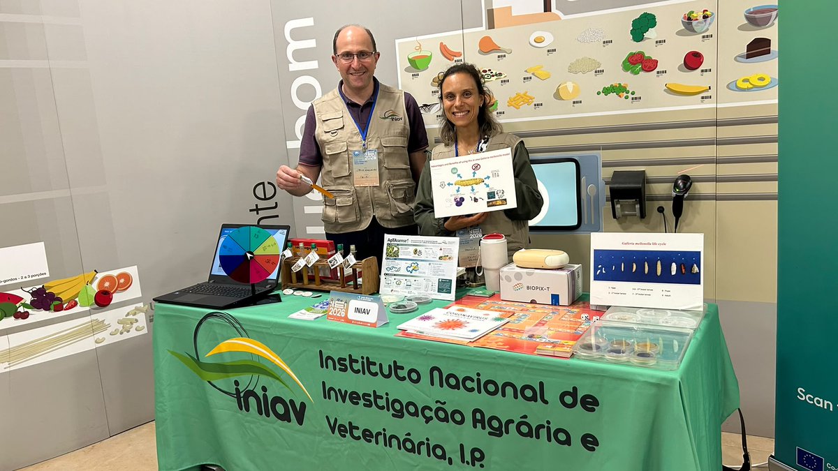 INIAV_IP's tweet photo. O Polo de Vairão participou na Noite Europeia dos Investigadores no Centro de Ciência Viva de Vila do Conde no passado dia 25 de setembro.

#INIAV #NEI26 #investigação #viladoconde https://t.co/1F21LEfp5l