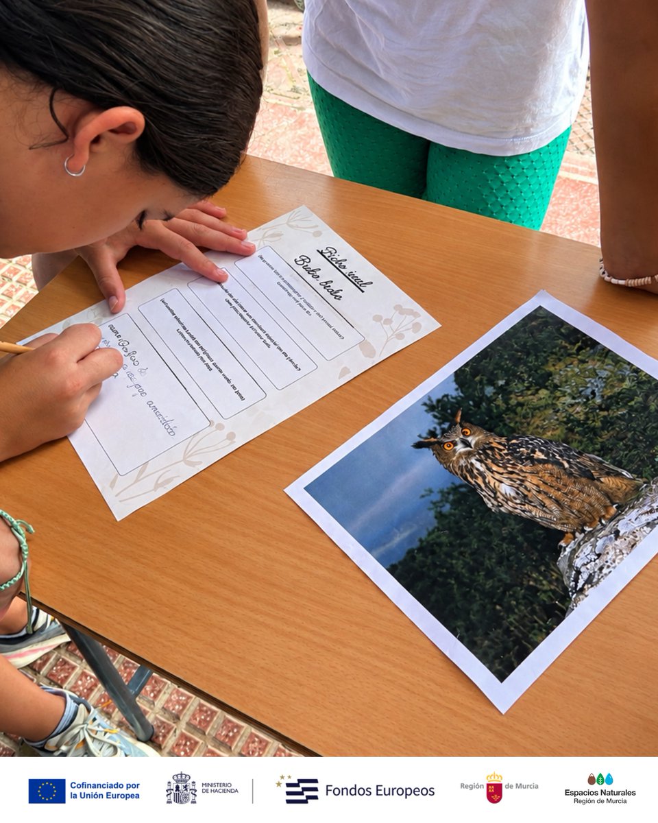 CalblanquePR's tweet photo. Celebramos el #DíaDeLasAves con 150 alumnos del IES Pedro Peñalver de #ElAlgar, descubriendo las aves de #CalblanquePR, sus amenazas y cómo podemos ayudar a protegerlas 🐦

Aprender, observar y actuar: otra forma de mirar y cuidar nuestra #Biodiversidad

#EducaciónAmbiental https://t.co/xLxNk5szAz
