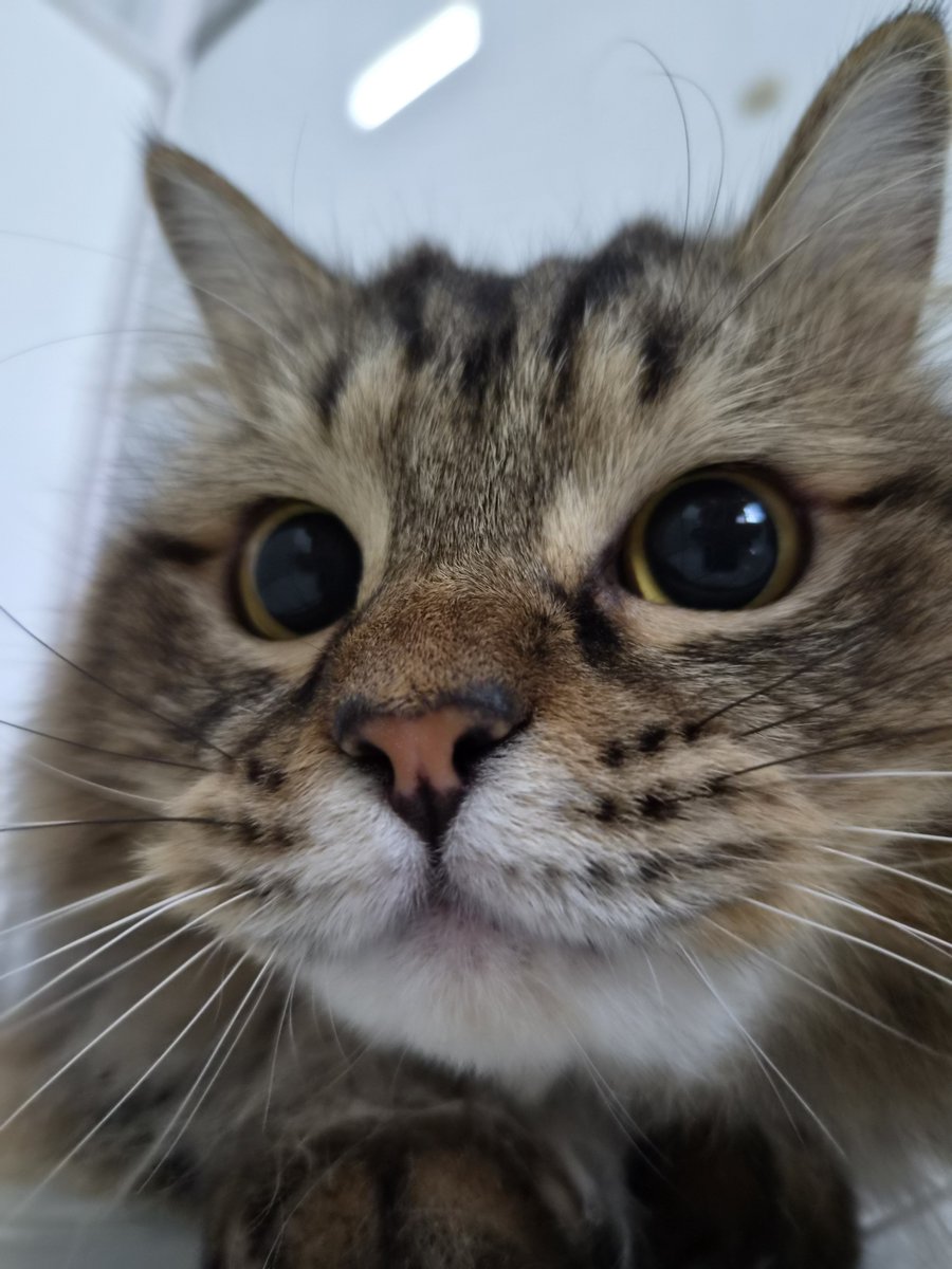 ikikemul's tweet photo. sekali pencet hidung bayar 5rb https://t.co/Jl9lei7GOW