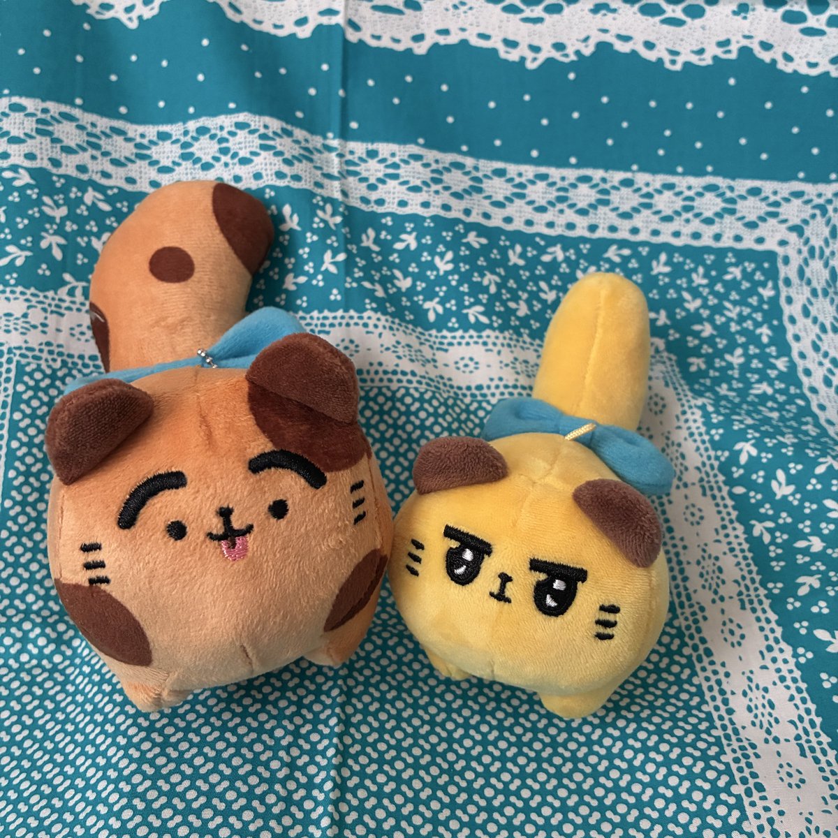 Minaco0411's tweet photo. トムの日、わが家にはチャンクル〜ちゃんが来ました！Bぼうやトートも超カワイイ💖💖💖 https://t.co/KQYjPJMxYt
