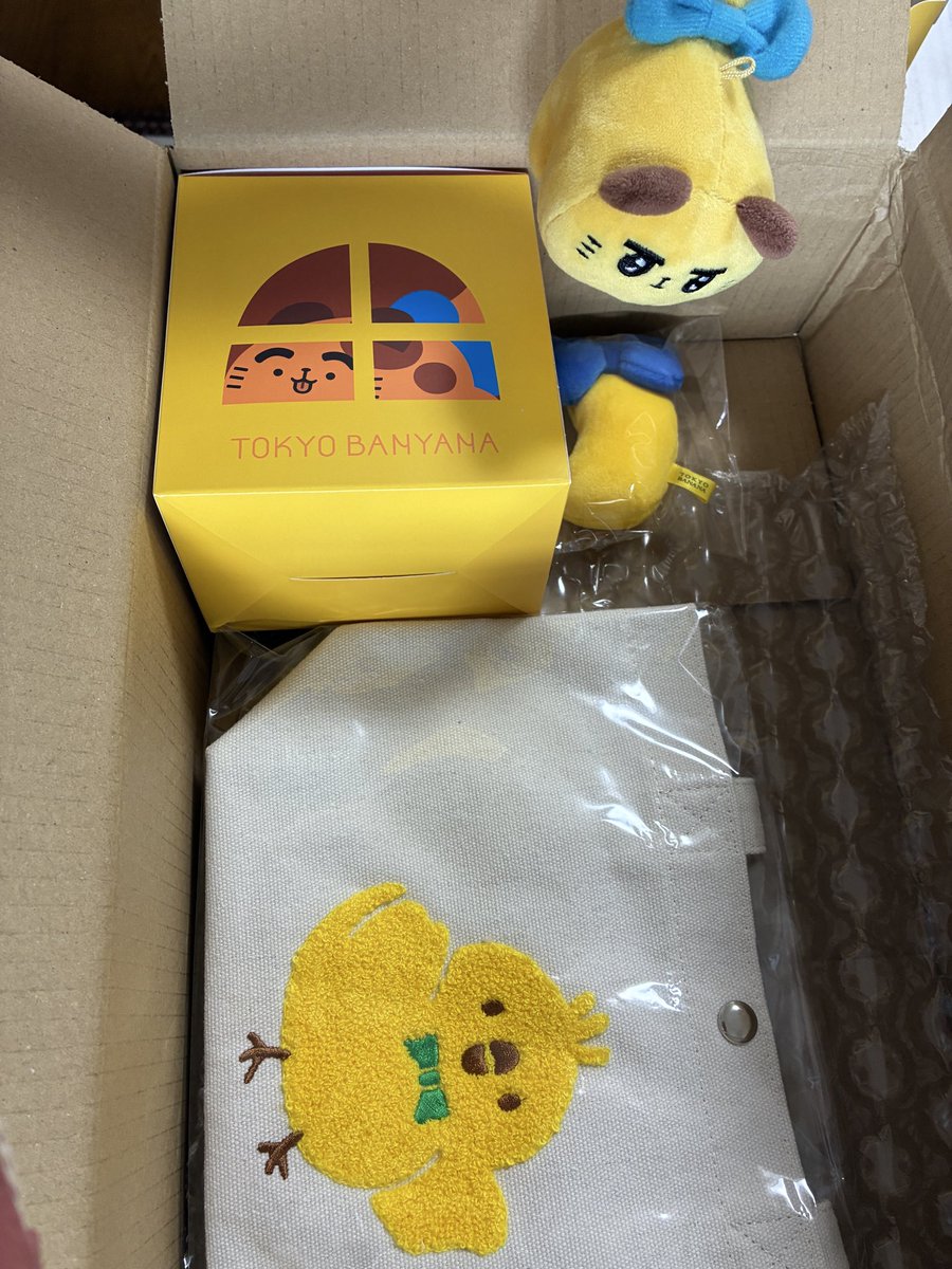 Minaco0411's tweet photo. トムの日、わが家にはチャンクル〜ちゃんが来ました！Bぼうやトートも超カワイイ💖💖💖 https://t.co/KQYjPJMxYt