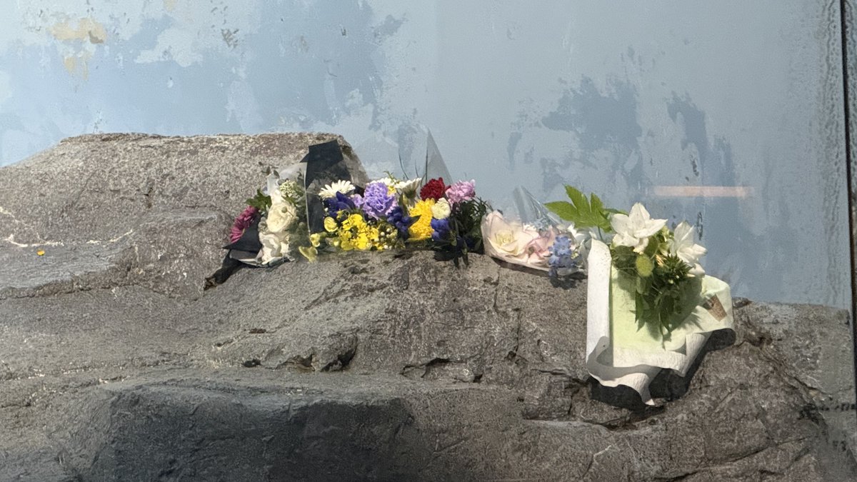 ojun_'s tweet photo. ユキ丸に💐

ユキ丸がよく寛いでた岩の上にもお花が
可愛いユキ丸らしいお写真も飾られてました🐻‍❄️

ユキ丸のいないプールは寂しそうで寂しそうで
ユキ丸たまには帰ってきてね、すいすい泳ごう
#ユキ丸 https://t.co/M5gmv795HI