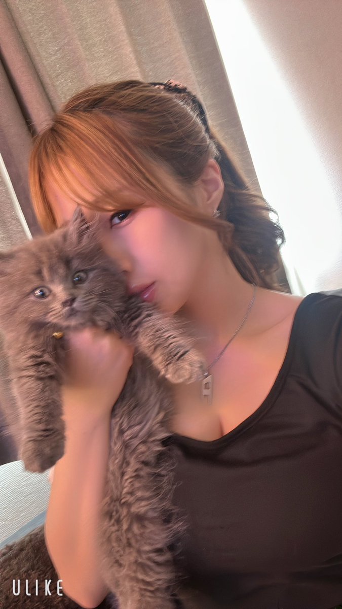 peeeaaaaaach's tweet photo. にゃむころ🐱 https://t.co/2ozQ8vDIDD