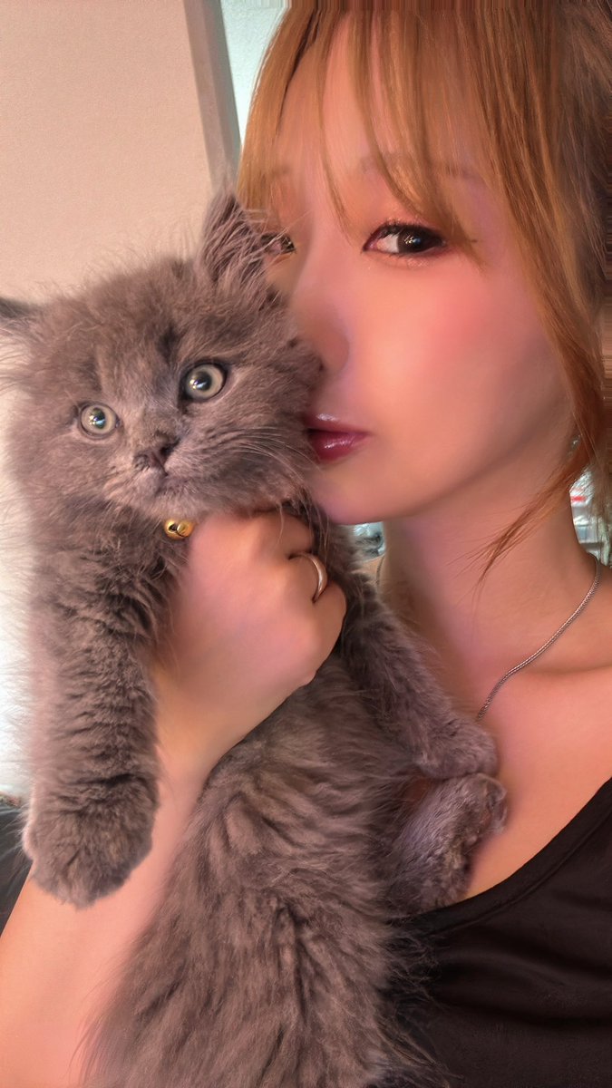 peeeaaaaaach's tweet photo. にゃむころ🐱 https://t.co/2ozQ8vDIDD