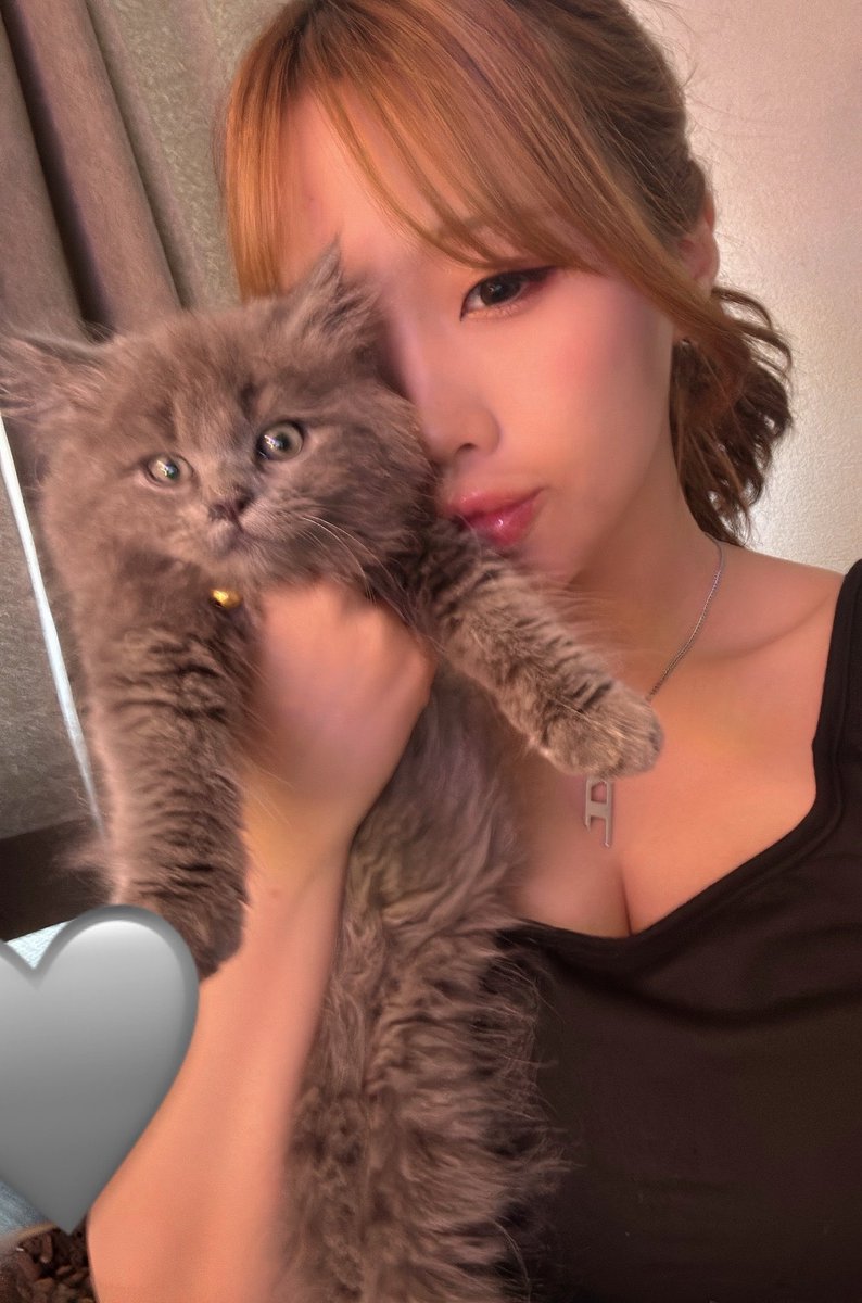 peeeaaaaaach's tweet photo. にゃむころ🐱 https://t.co/2ozQ8vDIDD