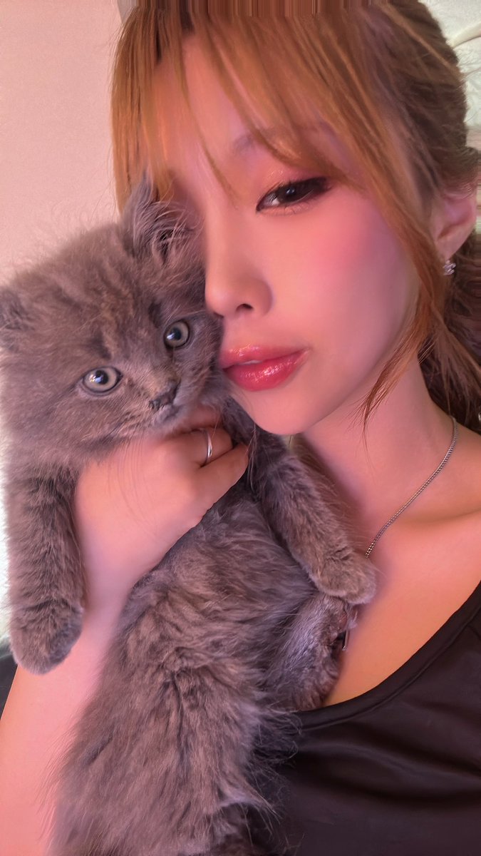 peeeaaaaaach's tweet photo. にゃむころ🐱 https://t.co/2ozQ8vDIDD
