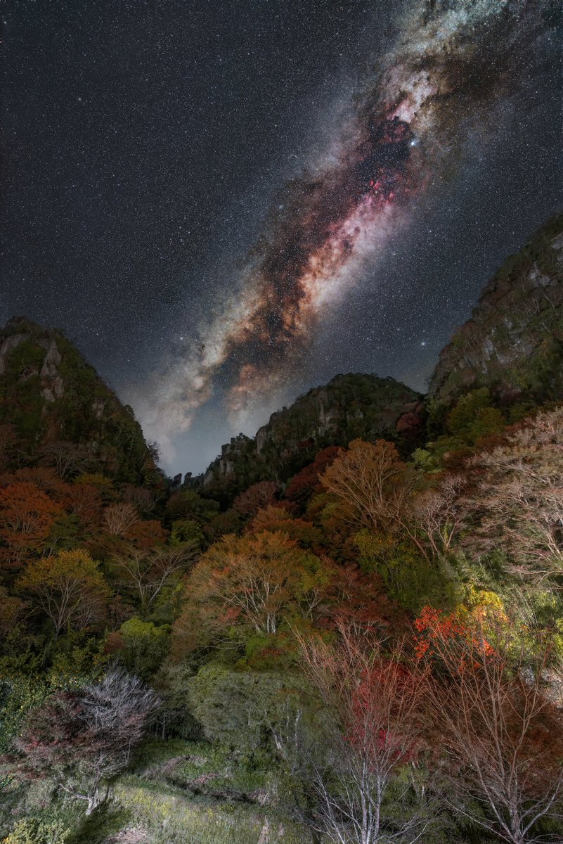 onitaku_photo's tweet photo. 秋の紅葉も秋の星空も楽しみですね https://t.co/LMS7usdgk9