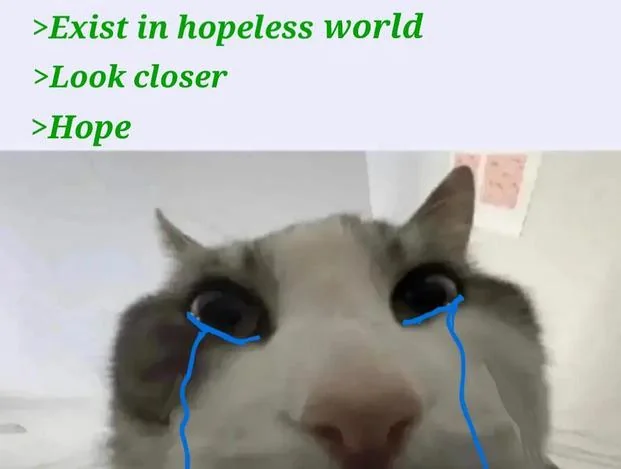 Diggooz's tweet photo. Current mood https://t.co/JOZ6I9YUJ4
