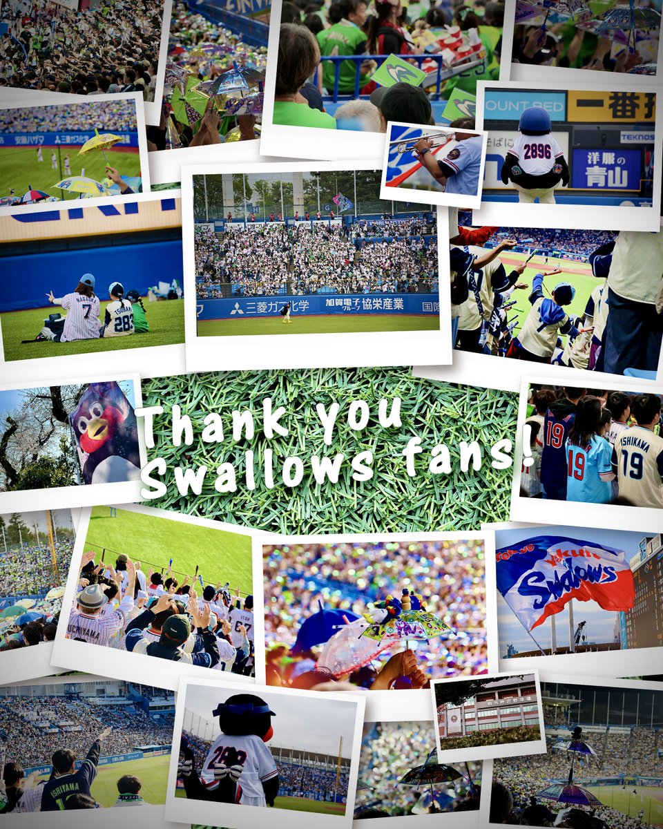 jingu_stadiumpr's tweet photo. 🏟️🐧Thank you Swallows fans🎀⛱️

スワローズファンの皆さま！今シーズンもたくさんのご来場をありがとうございました！またSNSでもいつもエールをありがとうございました⛱️

悔しさの中にもたくさんの希望が見えたシーズンでした。引き続き熱いご声援をよろしくお願いします！

#swallows #燕心全開 #神宮球場 #すわほー