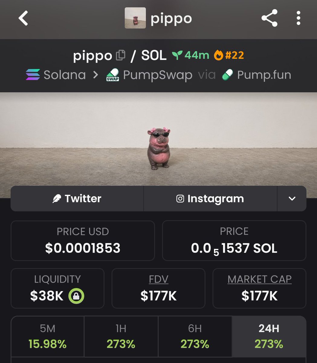 meme_opportunit's tweet photo. $pippo was aped at $5.0K mcap and pushed toward $177K mcap! Another strong move from an early setup. More calls are being prepared. Follow me + join my TG Group &amp; Discord so you’re ready for the next opportunity.
#Crypto #Trading

CA 
HMroT3TAEAoQuA8KuF8KzbKWRrbyrjECGo5FqgzRpump https://t.co/XK5jzu0hao
