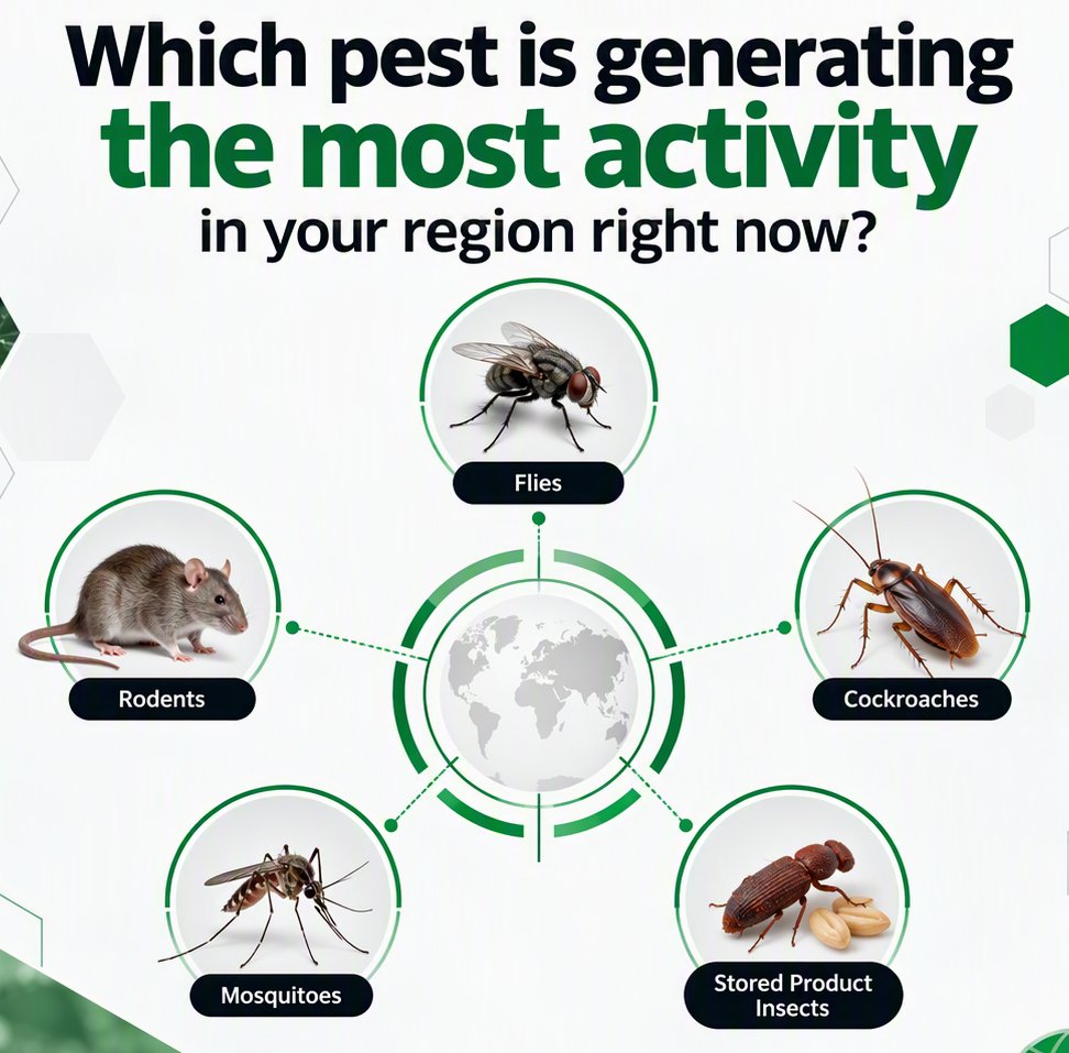 _PelGar's tweet photo. Which pest is generating the most activity in your region right now? 🌍
🐭 Rodents
🪰 Flies
🪳 Cockroaches
🦟 Mosquitoes
🌾 Stored Product Insects
🔍 Other
Where you're based and what's keeping you busiest, we'd love to compare perspectives from around the world.
#PestManagement https://t.co/Qyg7YwUor7