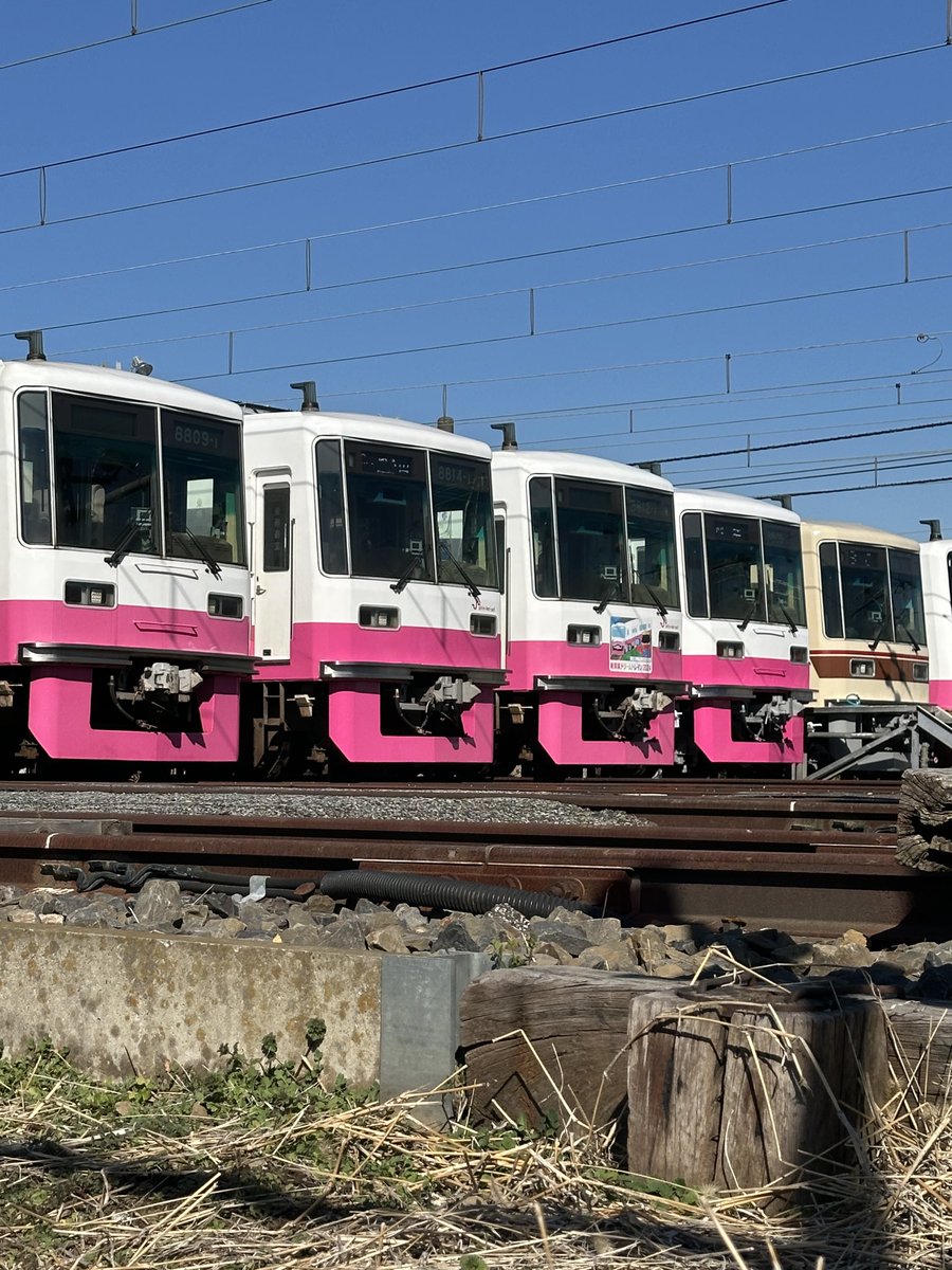 8150_TD's tweet photo. 3200によって置き換えられたのは8809でしたね
京成カラーになったものの短期間で廃車は勿体無い気もしますが、更新されてなかったが故に仕方ないのかもしれません

↓以前くぬぎ山を訪れた際、たまたま32と09が並んでました
8809、お疲れ様でした https://t.co/W3r2WxouO7