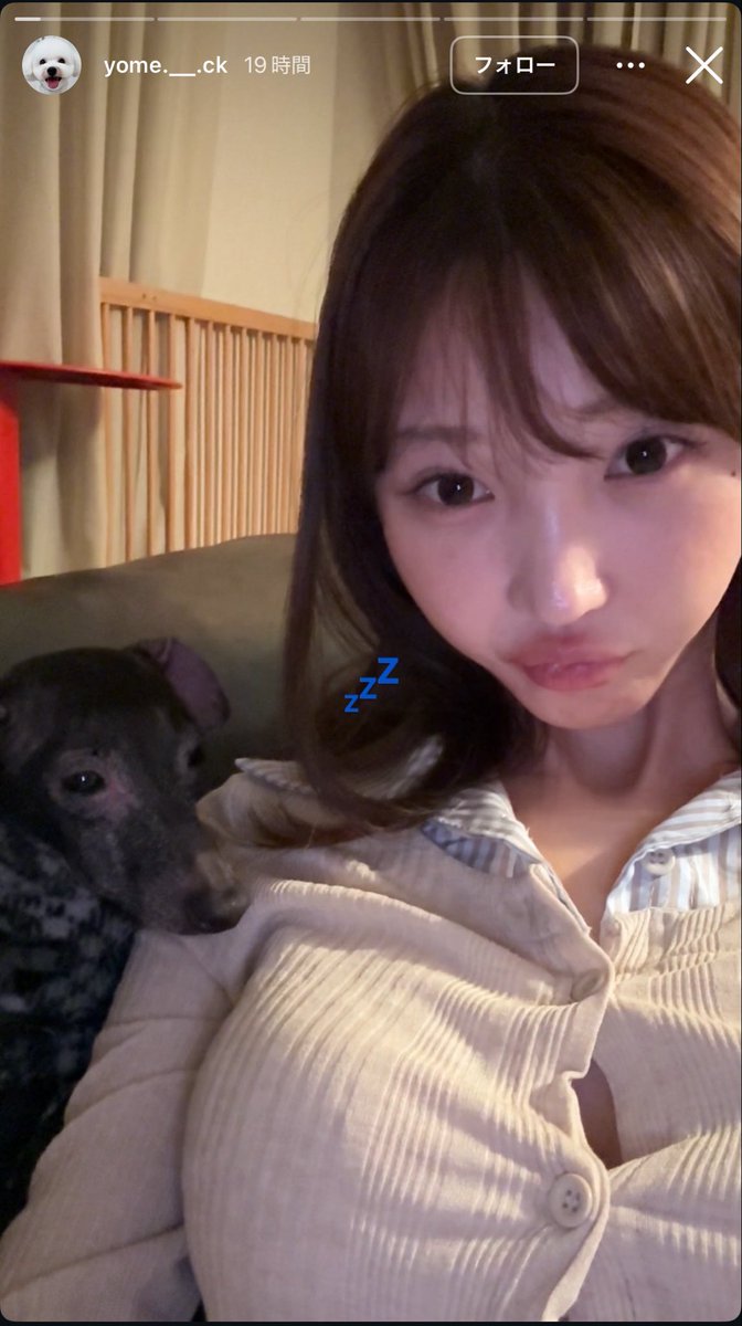 omo0_chichan's tweet photo. ヨメックのインナーケアがあまりにも参考になりすぎ😭😭😭
渋いのも使ってて心から信用できる.................... https://t.co/3tGHVUvLVh