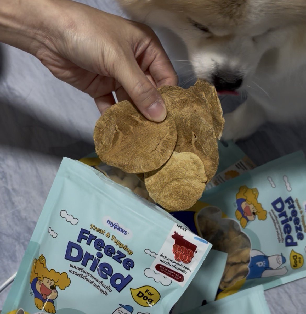 pphirinn's tweet photo. หมาที่บ้านชอบขนม freeze dried อันนี้มาก ชิ้นใหญ่ ทำจากเนื้อสัตว์ ชิ้นใหญ่ๆ ไม่ปรุงรส ไม่ใส่วัตถุกันเสียด้วย แกะห่อที่ไรวิ่งมาเลย ของแมวก็มีนะ เริ่มต้นห่อละ ไม่ถึง 100 เลย
#รีวิวขนมหมา #ทาสหมา #ทาสแมว https://t.co/QON7OrL4Pl