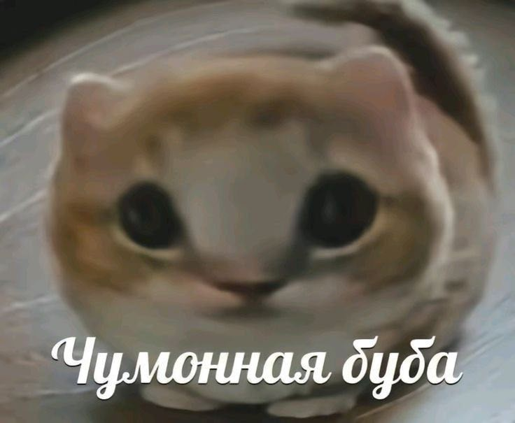ru2ch's tweet photo. https://t.co/txVzX8mnIG
