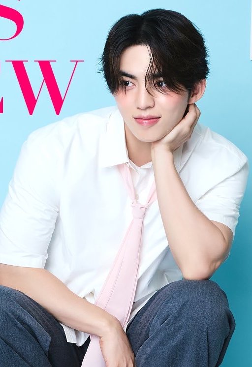 aboutscoups's tweet photo. seungcheol’s pink blush 🩷 so pretty https://t.co/qFxO5YfuPN