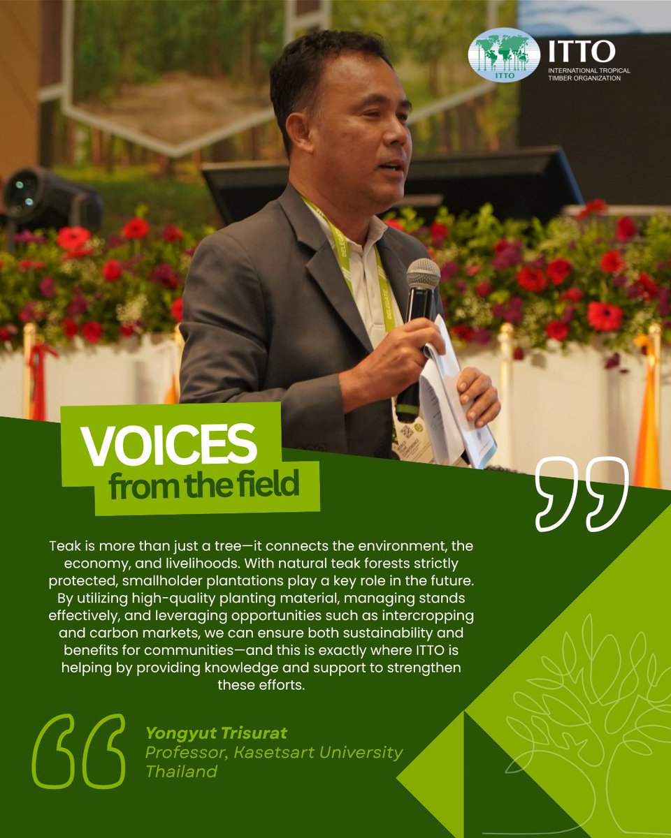 itto_sfm's tweet photo. 🌳🕵️‍♀️ In our latest #VoicesFromTheField, Professor Yongyut Trisurat of @kasetsart_ku, Regional Project Manager for ITTO's flagship teak project, shares his perspective on the opportunities teak and other timber species can provide to smallholders and community plantations. https://t.co/TYSpGzN4K5