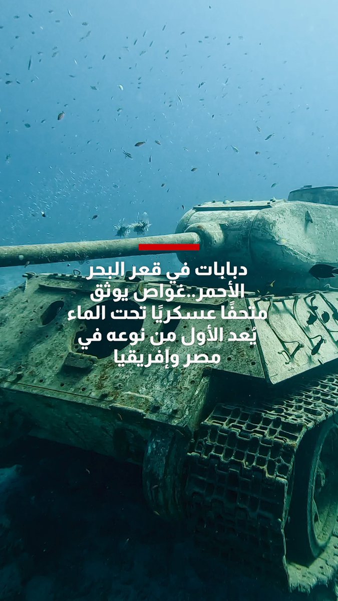 دبابات في قعر البحر الأحمر.. غواص يوثق متحفًا عسكريًا تحت الماء يُعد الأول من نوعه في مصر وإفريقيا 