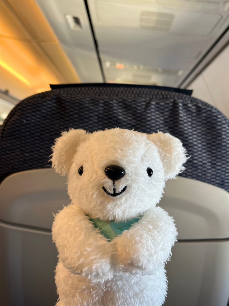airdo_hokkaido's tweet photo. 飛行機に一緒に乗ったら、「これ、僕の会社の飛行機なんだよ！どう～～？」って顔をしてきました👀 https://t.co/4lJcs2Ffta