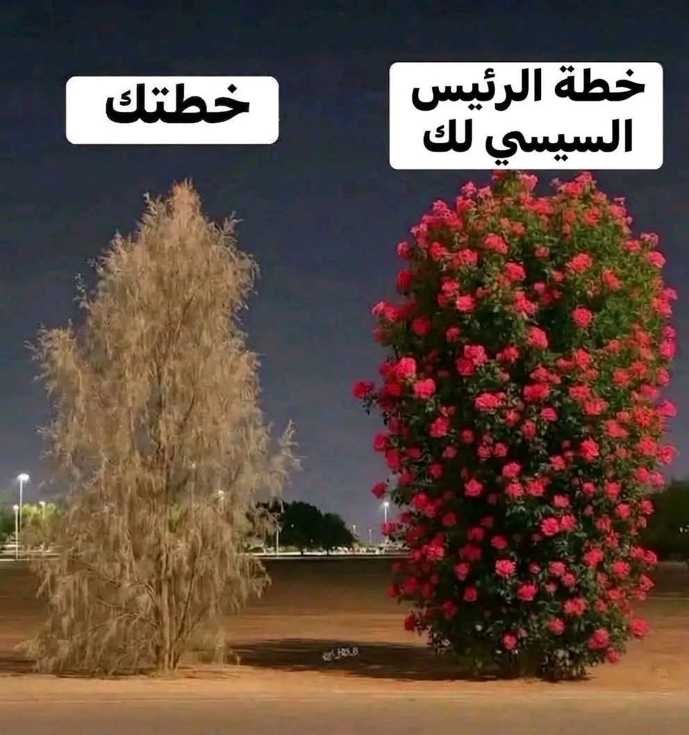 thehellcity's tweet photo. صباح الخير https://t.co/2g5rji8CrD