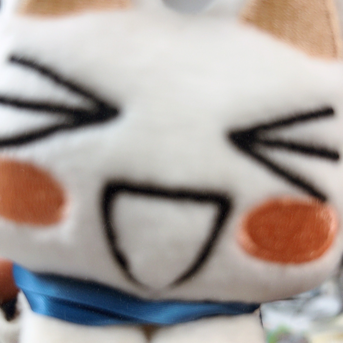 GRAPHTSTORE's tweet photo. 🍀10月6日はトロの日🍀

GRAPHTの #どこでもいっしょ アイテムもこんなに増えました🐈💚
https://t.co/G50aMzDu11 https://t.co/DHchoclOXv