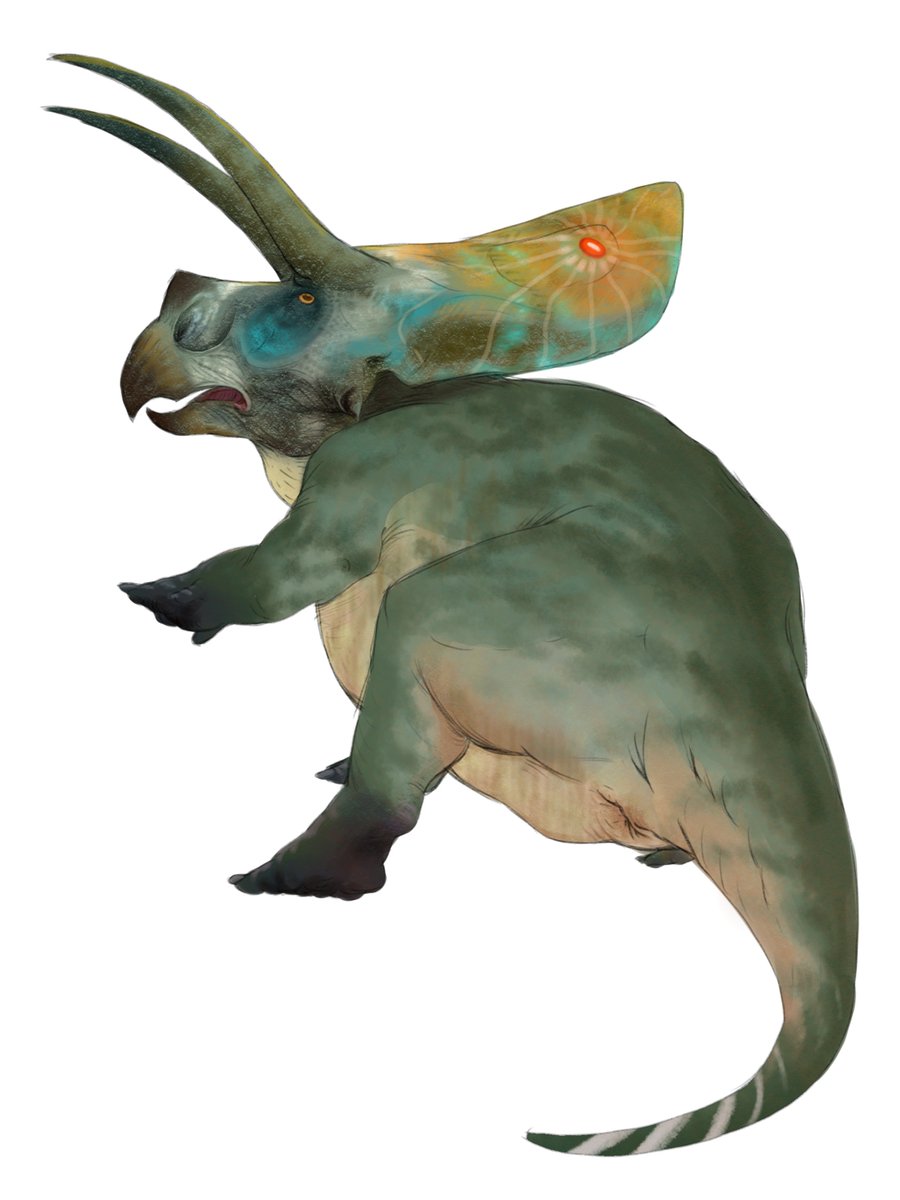 GaprelGatet's tweet photo. Torosaurus https://t.co/sBdm7ePSzp