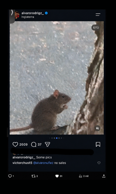 DeNiroElcheFans's tweet photo. No se que internet pagáis vosotros, a mi me sale esto.
salu2 https://t.co/paVZdjZybK