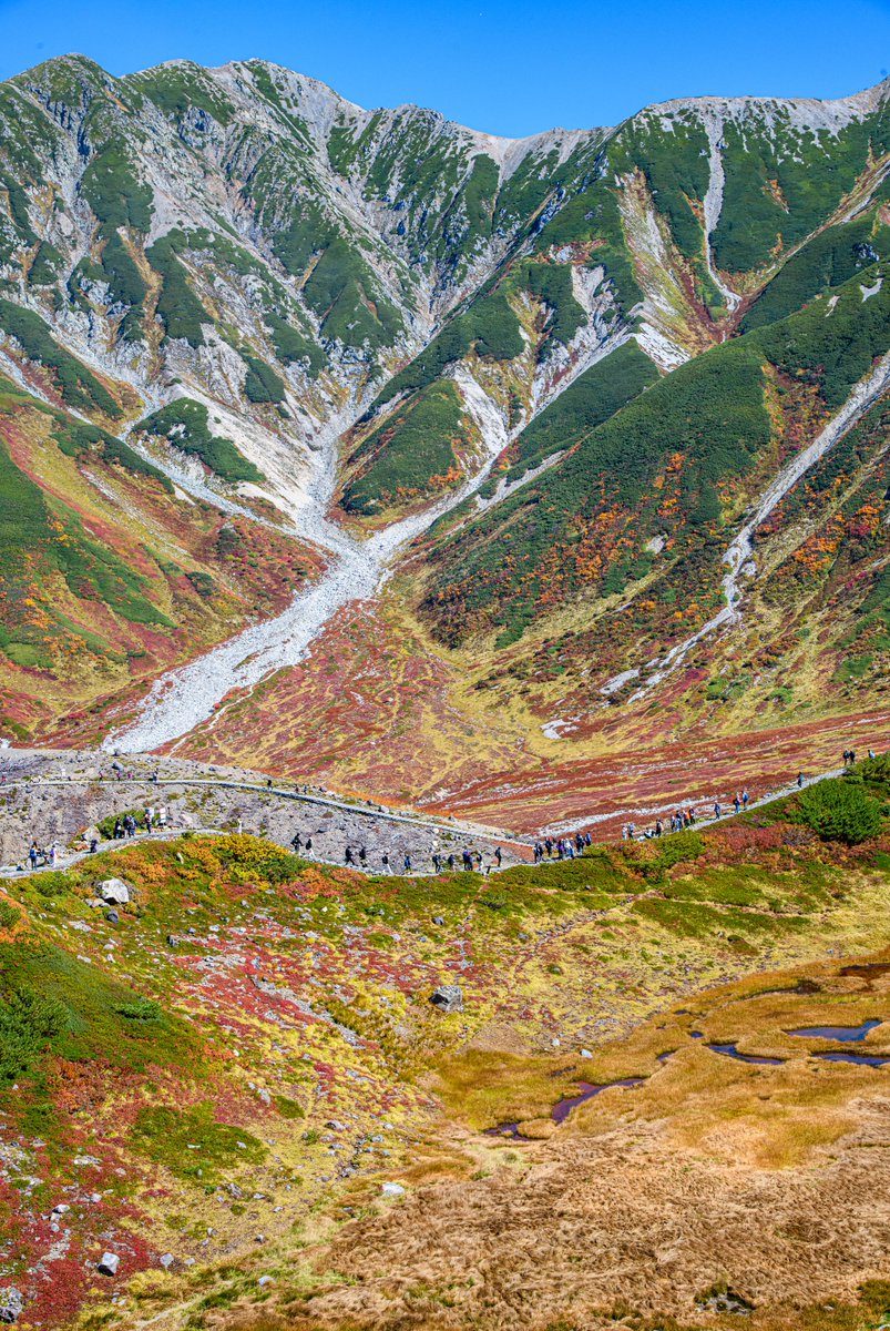 haskap1017's tweet photo. 日本のスイスと呼ばれる秋の立山室堂平が素晴らしかったです https://t.co/VvygIliCYj
