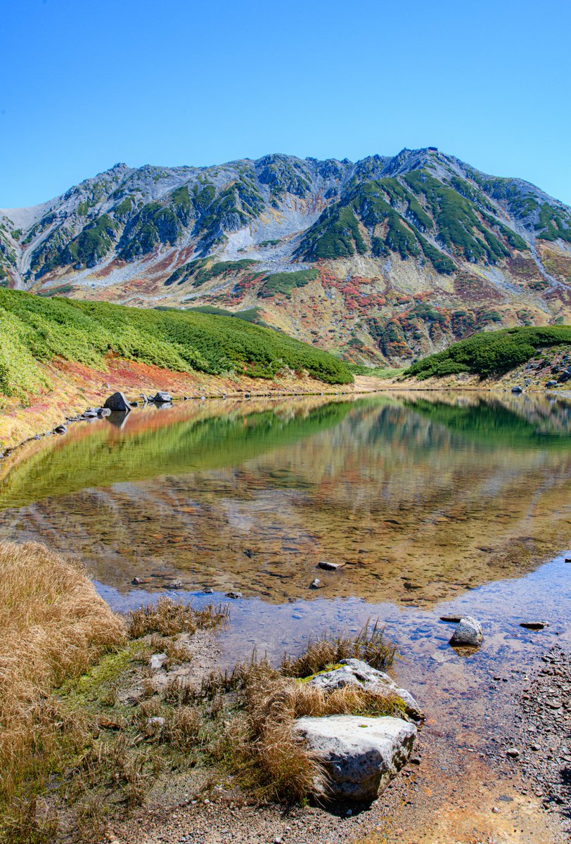 haskap1017's tweet photo. 日本のスイスと呼ばれる秋の立山室堂平が素晴らしかったです https://t.co/VvygIliCYj