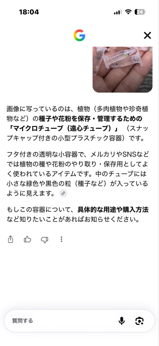 Ayanenvs's tweet photo. @B4RNEY1 Google先生によるとこれらしいです。え？？ https://t.co/WySpLkzPOm