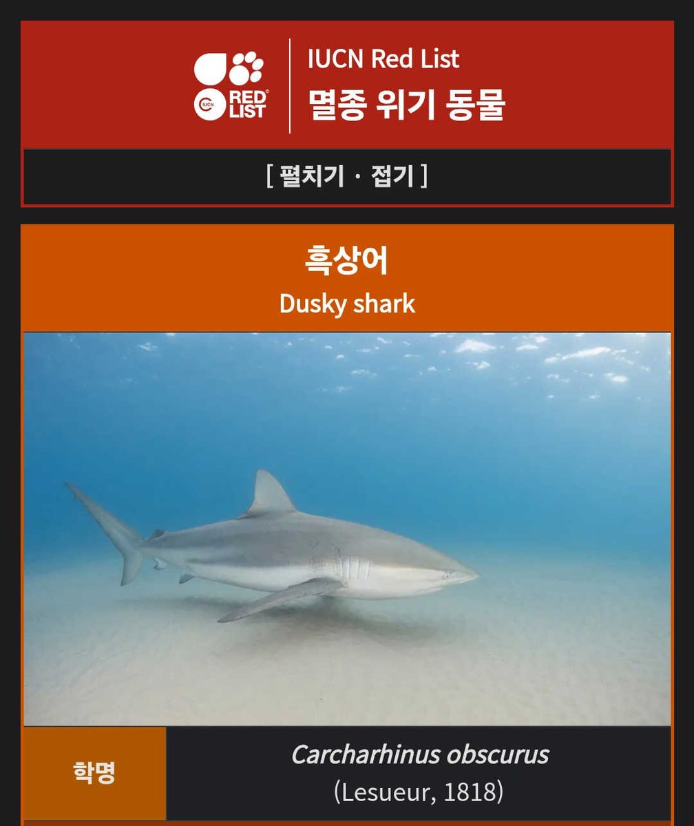 sangseek_kim's tweet photo. 뭔가 일이 커진 느낌이네... ㄷㄷㄷ

부캉이가 그냥 놀다가 질리면 자연으로 돌아가겠거니 했었는데, 국제 멸종위기종이었다니... 
뭔가 부산시나 한국 해양부에서 책임지고 돌려보내주지않으면 안 될 것 같다. https://t.co/1rNed0hN3W