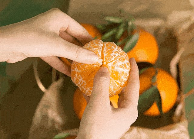 VanessaBeldss's tweet photo. [La naranja amarga se desvanece con el tiempo, y nuestro compromiso permanece firme como siempre.]， https://t.co/iIavGB1gb6
