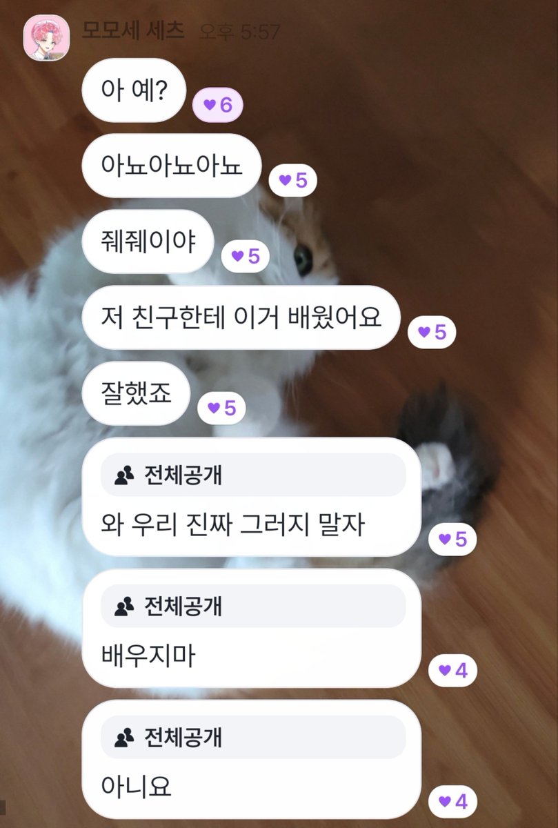 yirabin's tweet photo. 한번 따라했다가ㅋㅋㅋㅋㅋㅋ모리분들 ㅋㄲㅋㅋㅋㅋㅋㄲㅋㅋㅋㄱㄲㅋㅋㄱ https://t.co/Pe72u2Xuuu