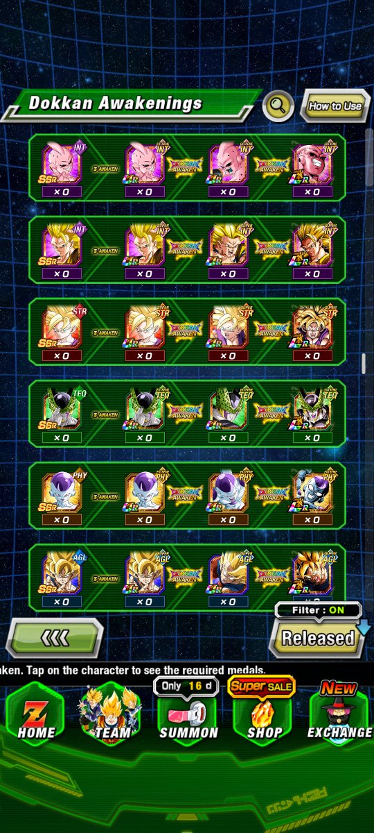 LR3ku's tweet photo. @dokkan_global How would I know? https://t.co/YBbp6DQKux