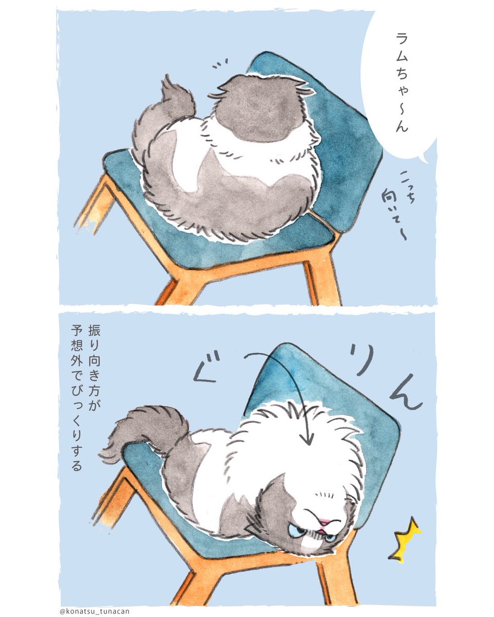 konatsu_tunacan's tweet photo. 【猫のラムちゃん日記】
ラムちゃんが振り向く時 https://t.co/yPYl3OoEn2