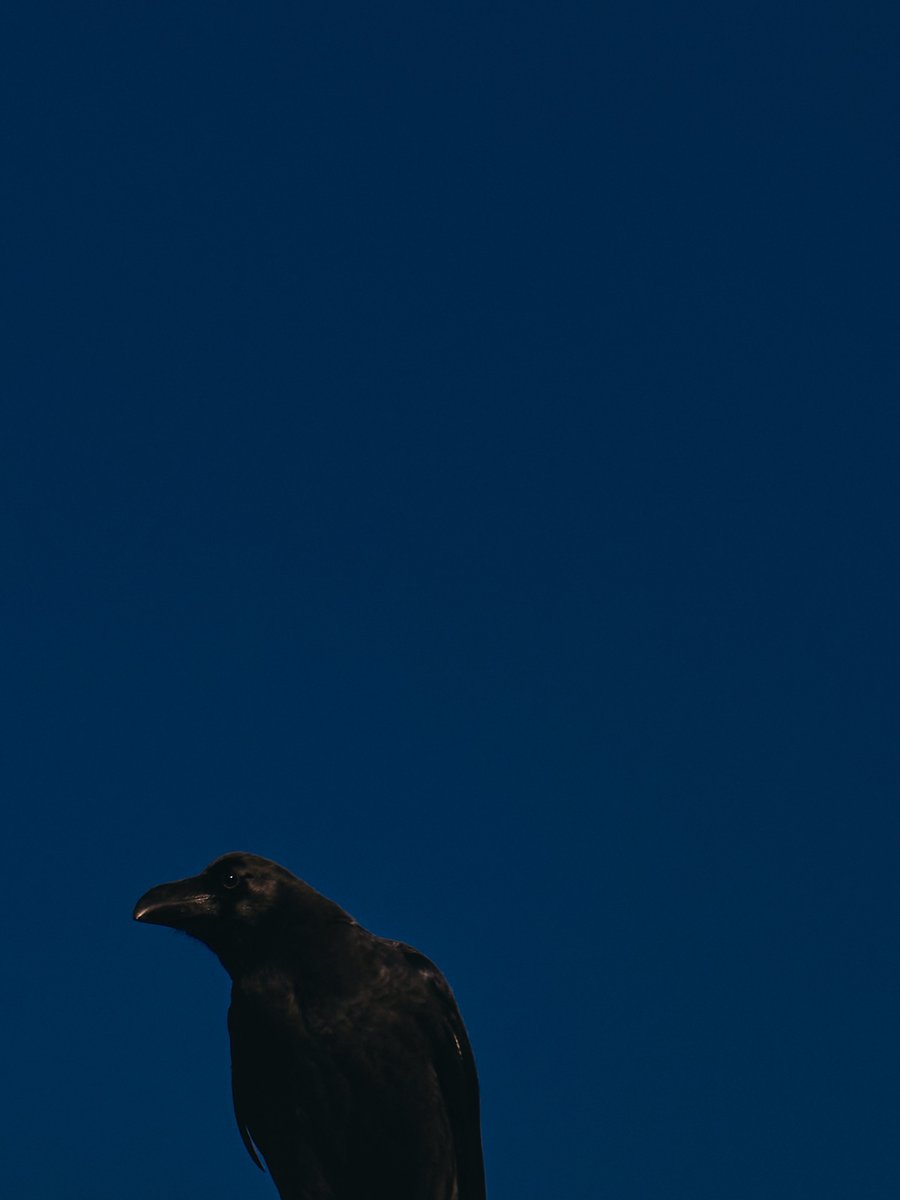 supersub_aka's tweet photo. TOKYO "BLUE" SKY https://t.co/LlVdsMJB9F