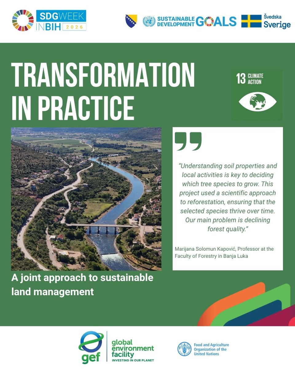 UN_BiH's tweet photo. Ahead of #SDGWeekinBiH (19–23 Oct), #TransformationInPractice shows how science and local knowledge support nature restoration. For #SDG13, Food and Agriculture Organization (FAO) is restoring degraded forests and promoting sustainable land management in 🇧🇦, with @theGEF support. https://t.co/0AjUyOU64U