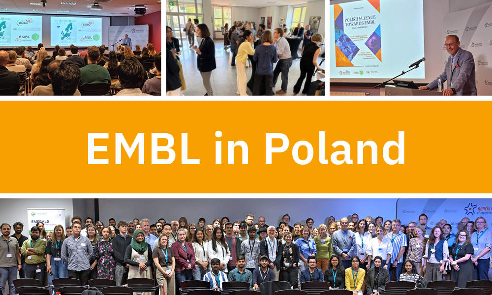 embl's tweet photo. The first EMBL in Poland 🇵🇱  event brought together scientists from across the country.

Hear how they benefit from their connection with EMBL 👇
https://t.co/5kk8CJhoFW https://t.co/onNRuk8Fi9