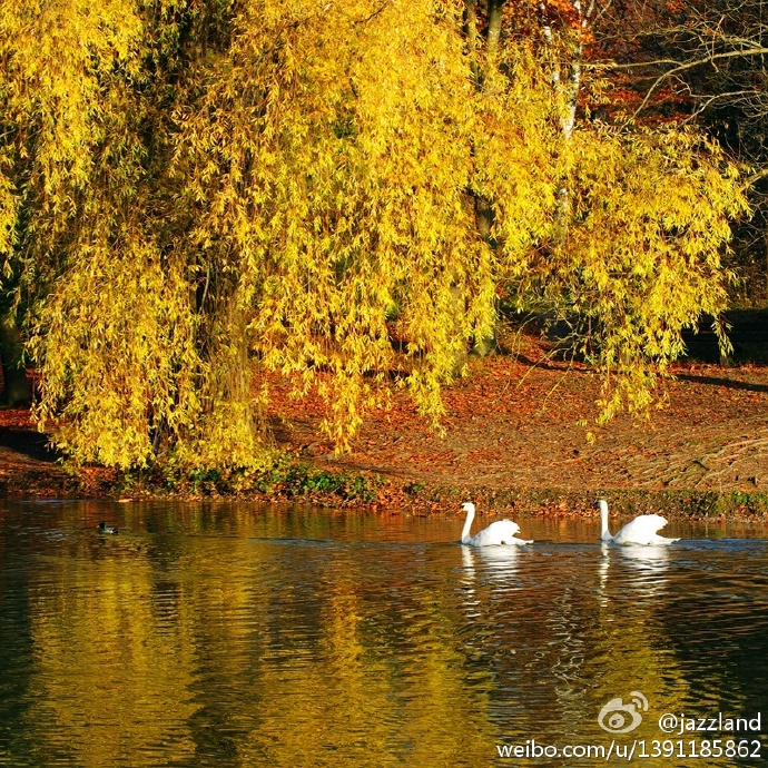 JORGEMA62924928's tweet photo. Today’s focus: "智犯" (smart offender), "逝" (passing of time), "畏" (awe/fear), "烙" (brand/mark) – explore small but powerful cultural snippets!， https://t.co/OFdLdhAkyj