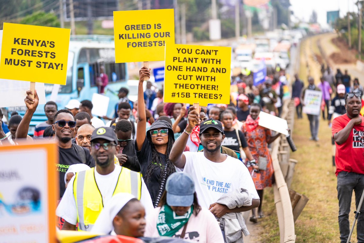 KeruboOuko's tweet photo. You can't drink money when the rivers run dry. Keep hands off our public forest land! Demand full accountability NOW!!
https://t.co/lx0NOZ6ZAM
#HandsOffOurForests https://t.co/un75wXogl0