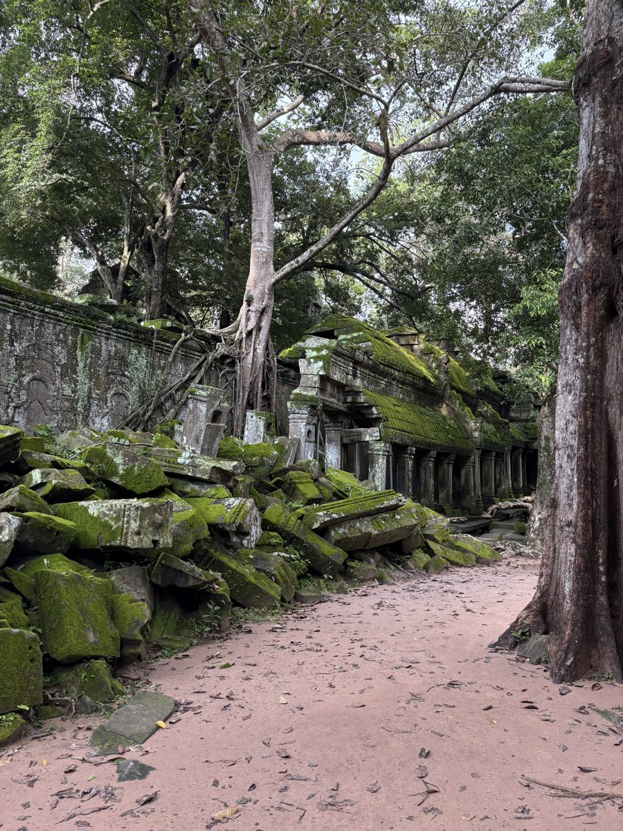CarlosKimsan's tweet photo. Hoy fue un día bonito con una familia española en el complejo arqueológico de Angkor. Lo pasamos muy bien y fuimos muy felices durante las excursiones en Camboya.#Camboya #angkorwat https://t.co/TKhq4fvXy9