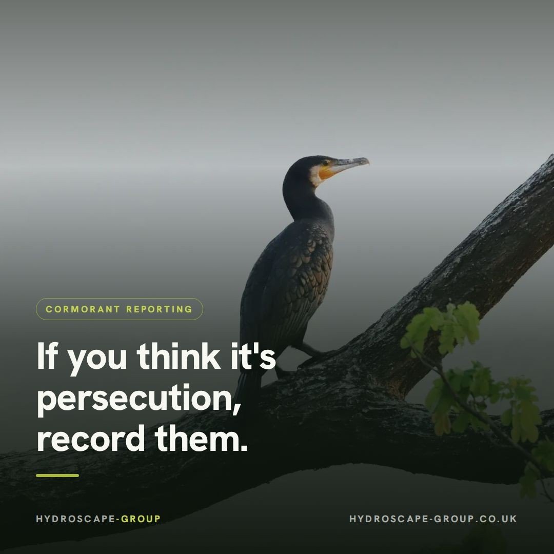 HydroscapeGroup tweet picture