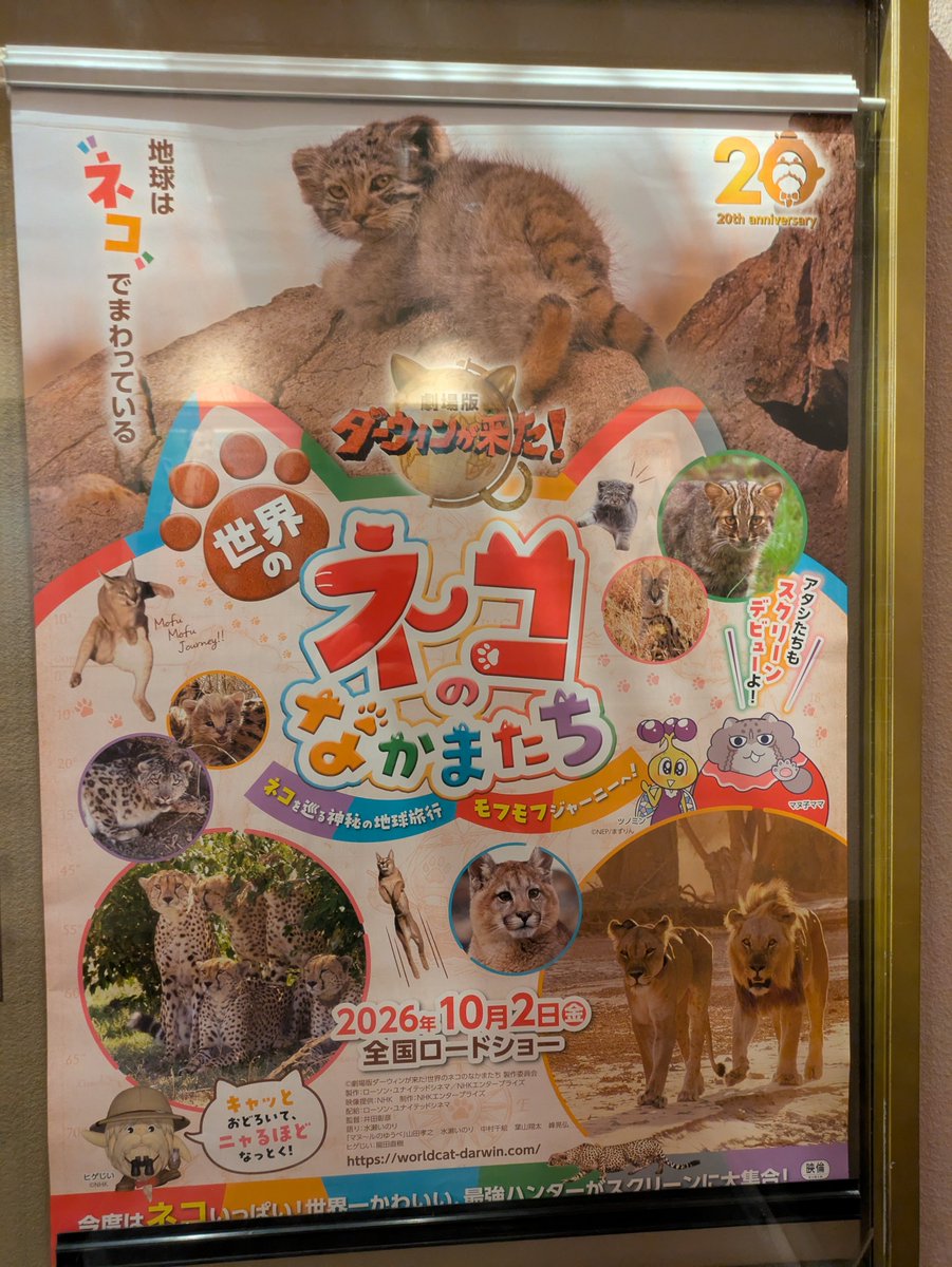JPparkGuardian's tweet photo. ちいかわ4DX→世界のネコのなかまたち

というこの世で一番可愛いコンボを決めてきた https://t.co/vDGFNnt4Bc
