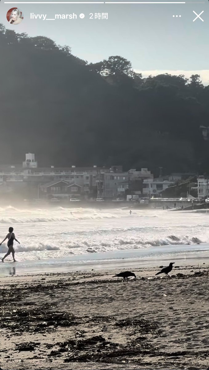 w_in_w_in_1118's tweet photo. オリビアちゃん鎌倉の由比ヶ浜にいるみたいなんだけど家族で来ているのかな。ダニエルも？

2024年にNewJeansが日本デビューで長く滞在している合間の休暇にダニエルがパパと観光したって言っていたのも鎌倉だった。鎌倉が好きなのかな https://t.co/PilqdXOrxU