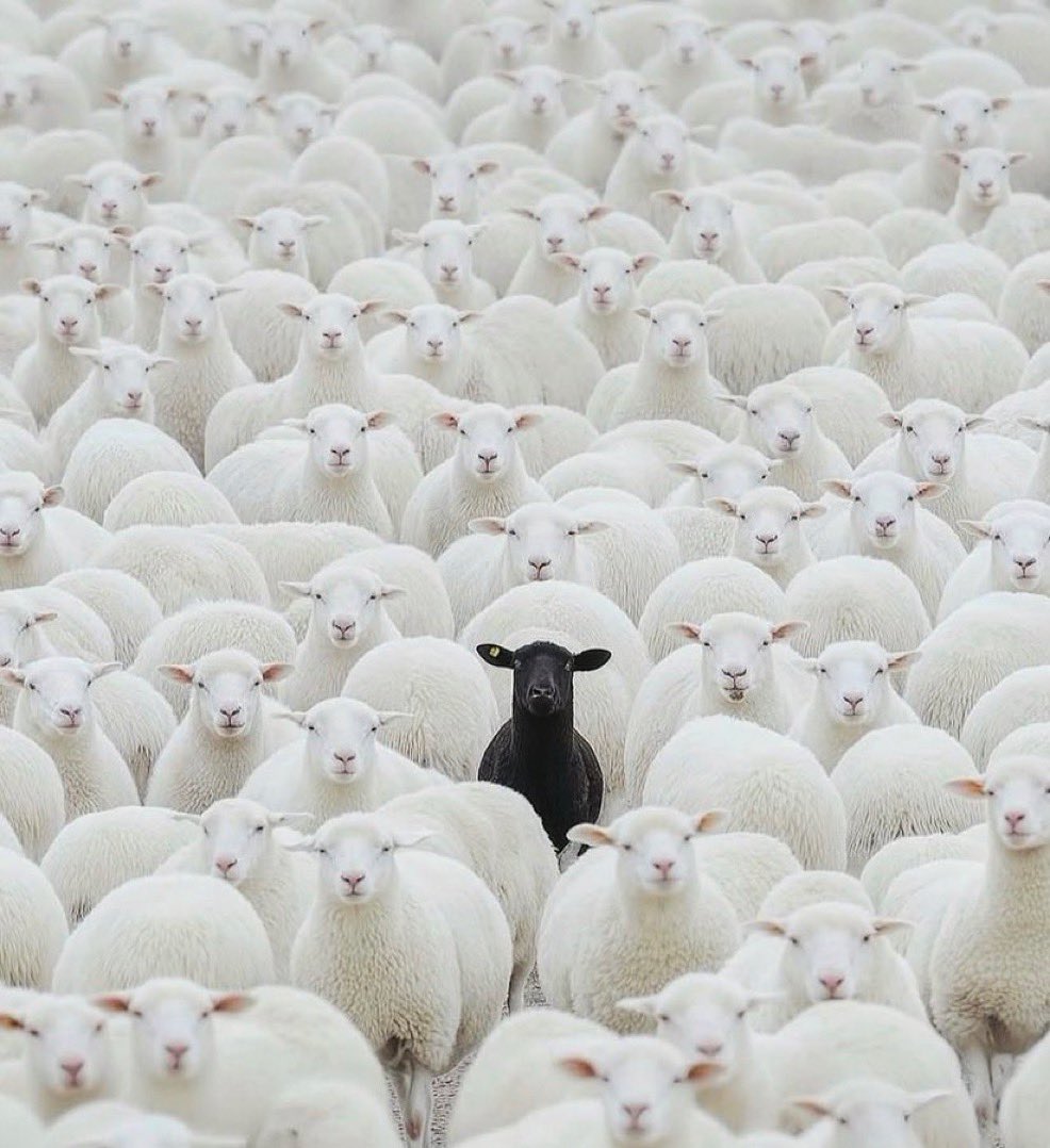 rottvikcoin's tweet photo. Be like that with $ROTTVIK coin. https://t.co/QqAM8rJRWY