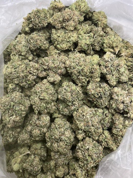 GreenDistrmqqt's tweet photo. Weed Oldham, Weed Rochdale, Weed Bury, Weed Huddersfield, Weed Wakefield, Weed Doncaster, Weed Middlesbrough, Weed York, Weed Harrogate, Weed Scarborough, Weed Hull, Weed Grimsby, Weed Lincoln https://t.co/3Brg84EYRx