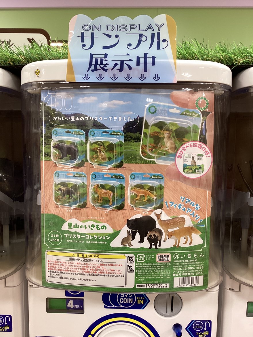gashacoco 公式X（本部）の入荷情報の写真